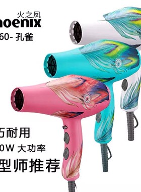 火之凤吹风机发型师专用超轻静音发廊大功率理发店电吹风8960正品