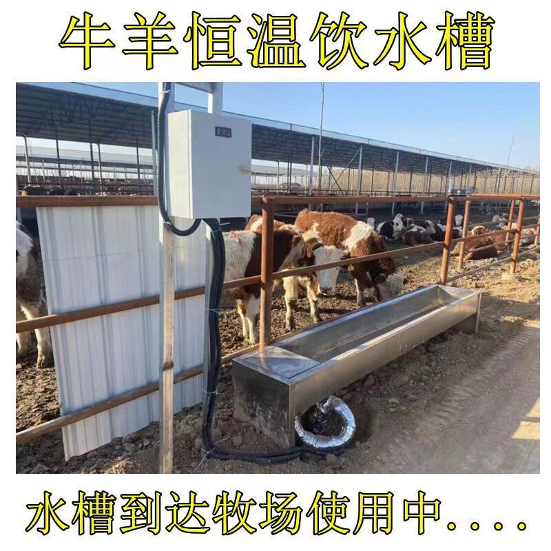 不锈钢牛羊恒温饮水槽自动电加热防冻养牛场冬天专用畜牧养殖设备