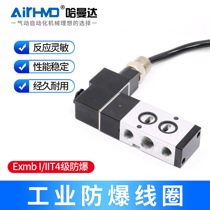 TY131-09系列防爆线圈4V210 410 4M310-08DC24VAC220V电磁阀9mm孔