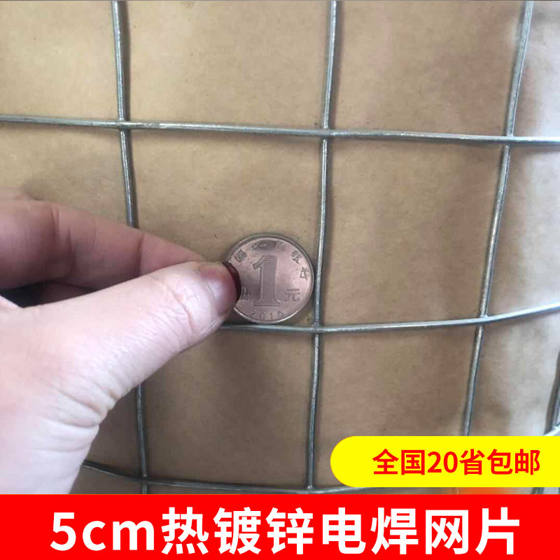 5厘米网孔钢丝网热镀锌铁丝网围栏养鸡防护网栅栏围墙网隔离铁网