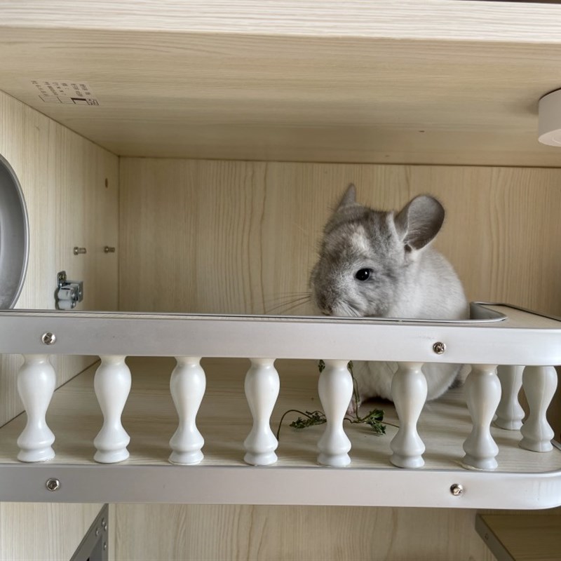 宠物阳台跳板龙猫仓鼠柜笼装饰