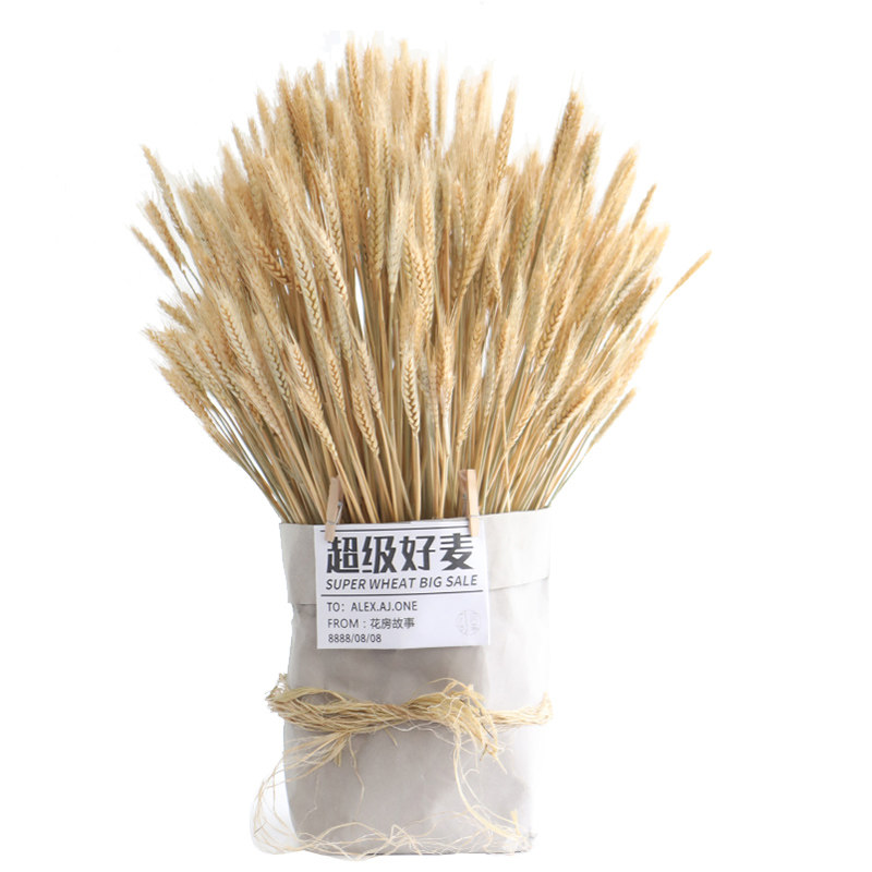 超级好麦天然大麦开业花篮花盒花束乔迁开工送花北欧ins干花