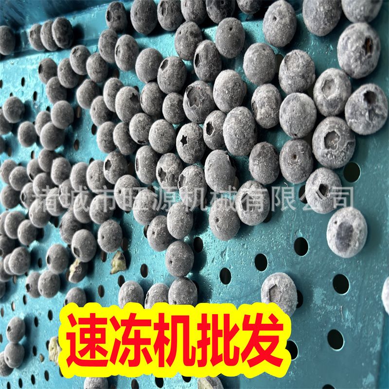 野生松茸速冻机 手工饺子 鲜肉 单冻设备 超低温冷冻机