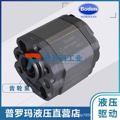 原博顿BODEN装齿轮油泵BKP1Q0/Q1/Q2/8B0D4..2 48 5. 博顿7.0 8.0