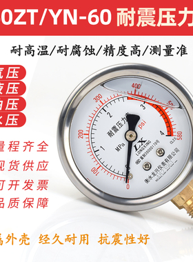 YN60 Y60ZT耐震压力表 抗震防震耐腐蚀 高温氨用 氧气水汽油压表