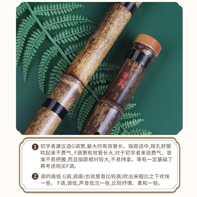 洞箫初学者入门高档乐器紫竹短箫八孔G调F调短萧笛子便携洞潇