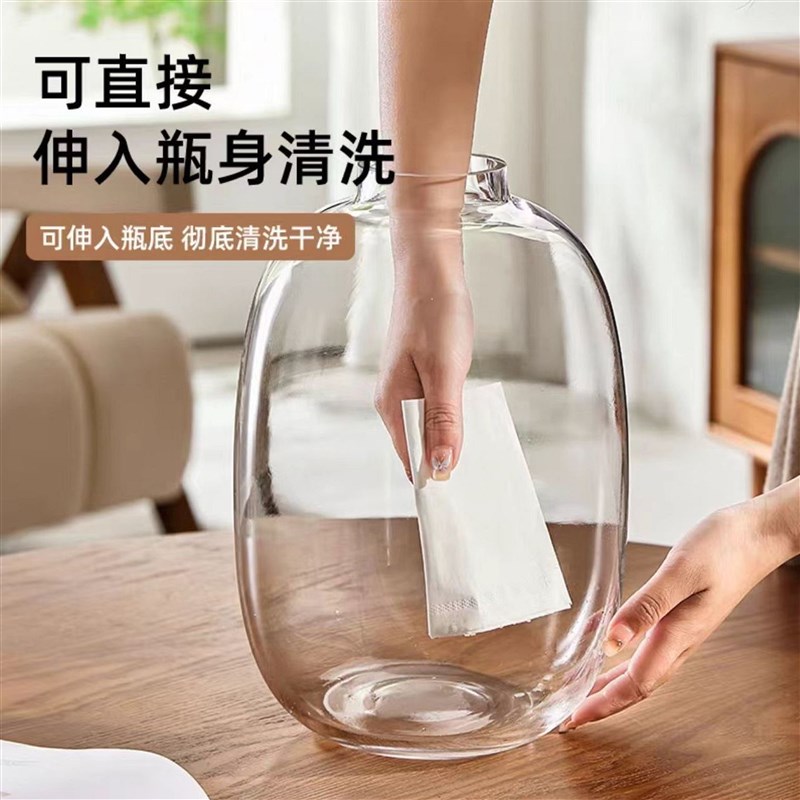 简约大肚玻璃花瓶龟背竹富贵竹摆件轻奢客厅水养水培鲜切桌面落地图片