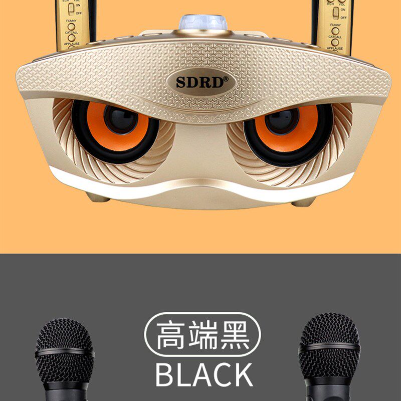 台湾直销SD306家庭蓝牙音响麦克风一体式双人合唱手机K歌无线话筒