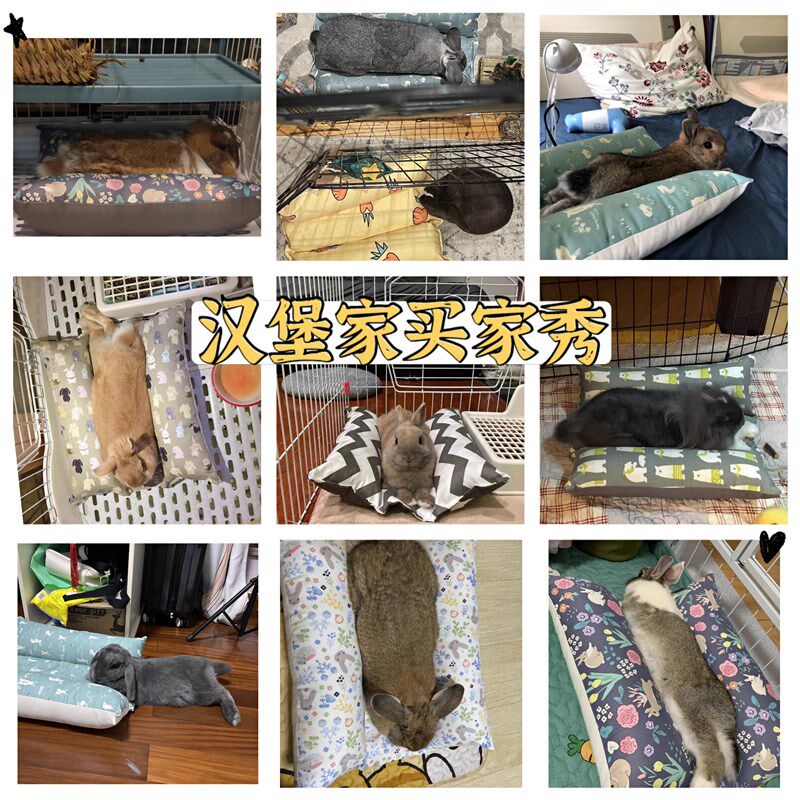 汉堡家兔子趴趴垫保暖垫子夹夹垫   睡垫 兔用垫子四季常规款