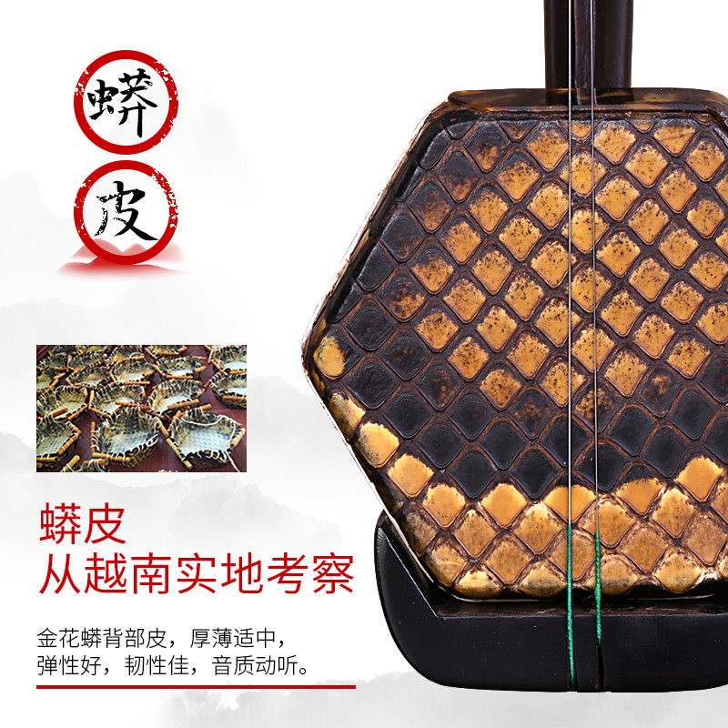 苏州黑檀二胡 红木二胡 送礼二胡 初学演奏二胡 传统工艺全套配件