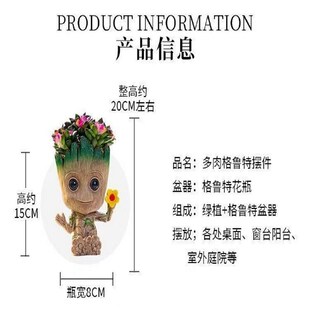 多肉植物仙人掌类格鲁特仙人球盆栽办公室内桌面好养开花绿植礼物