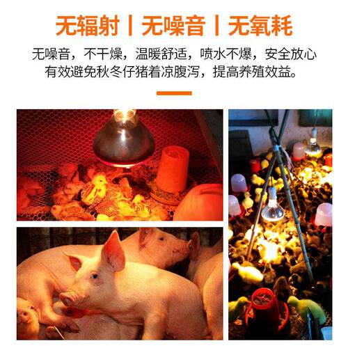 猪用保温灯养殖专用取暖灯小鸡仔猪育雏兽用加热烤灯加温保暖灯泡