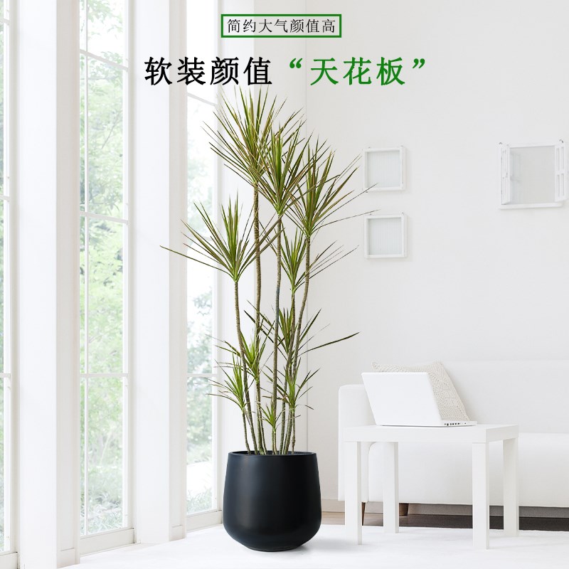 轻奢落地千年木七彩铁绿植客厅高端假花室内大型办公室内植物盆栽