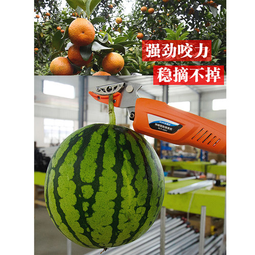 电动高枝剪果园伸缩高枝剪荔枝龙眼修枝剪刀高空加长充电式修枝剪