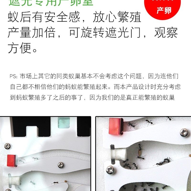 2023新款蚂蚁城堡工坊宠物收获蚁学生观察蚁巢蚁後生态箱家园庄园