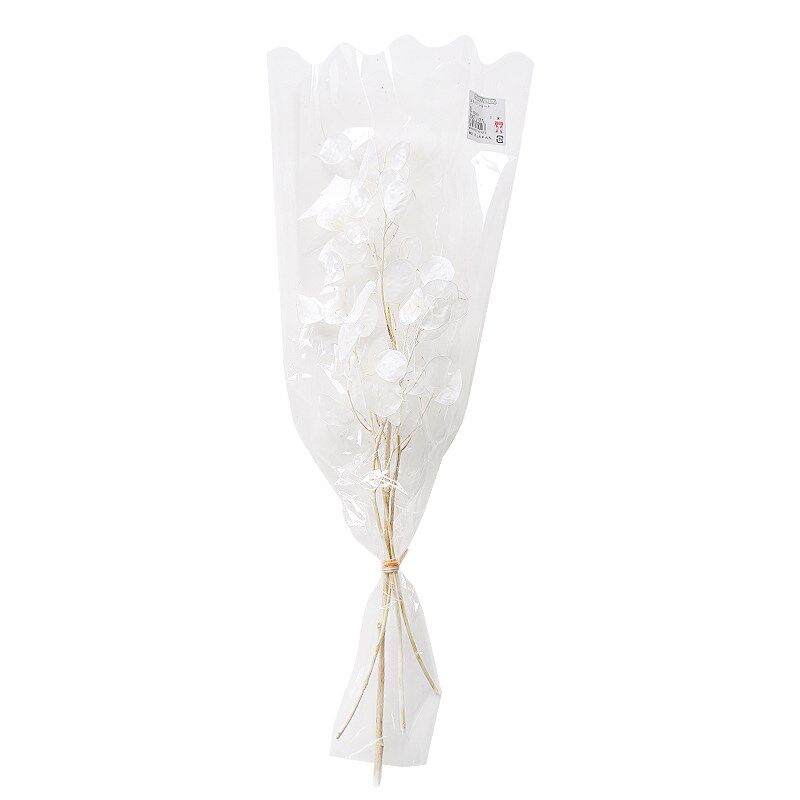 永生花天然真花干花花束轻奢高档ins风银扇叶家居装饰花艺diy配材