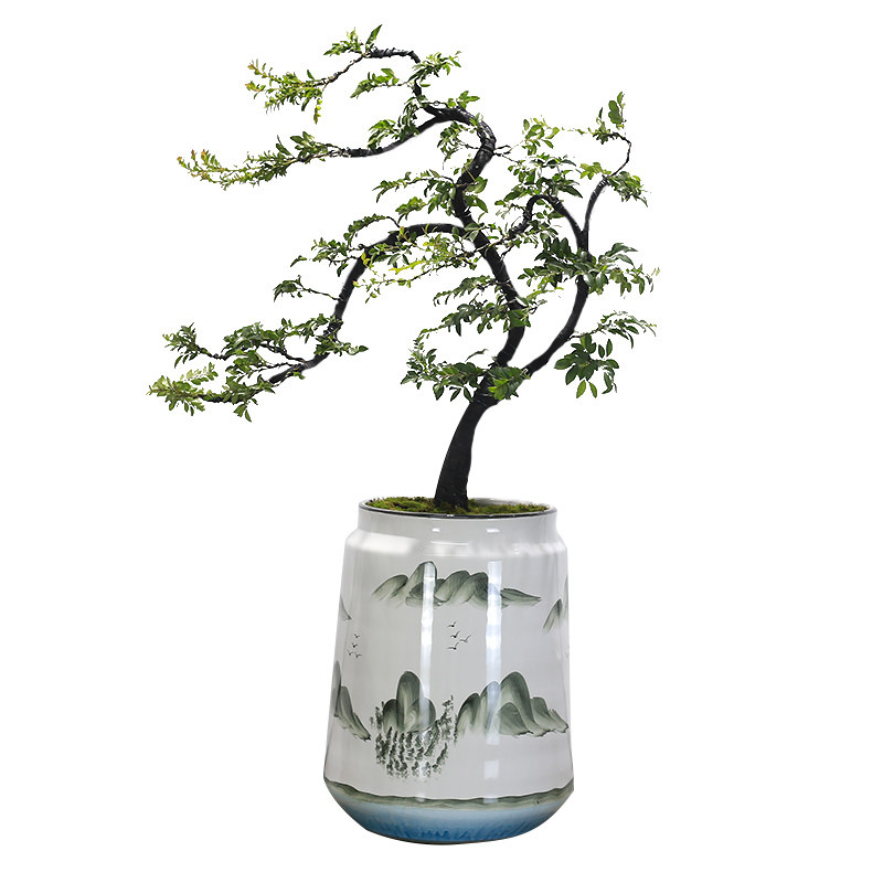 小叶紫檀盆景造型老桩植物室内客厅办公室绿植黑骨茶盆栽玄关摆件