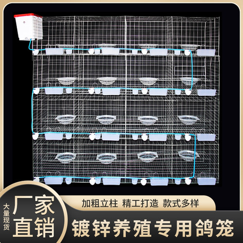 12位16位加粗鸽笼子肉鸽繁殖笼鸽配对笼大号鸽子笼养殖笼用品用具