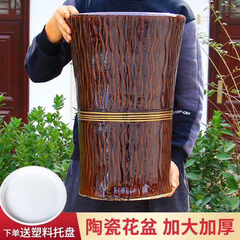 中国福百搭金钱树阳台陶瓷花盆家用庭院发财树福字大口径落地客厅