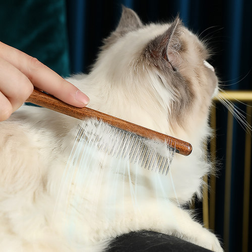 猫梳子去浮毛猫梳毛专用梳子针梳梳毛刷猫咪神器宠物跳蚤梳狗梳子