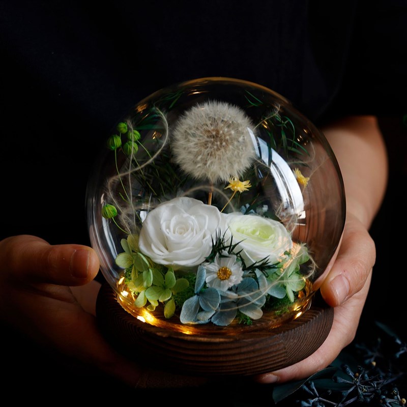 蒲公英永生花礼物发光手工创意摆件生日礼物浪漫礼品送女友闺蜜花