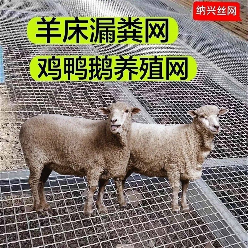 热镀锌钢丝网羊床漏粪网鸡鸭鹅养殖底网防锈加粗狗笼底网养羊钢网