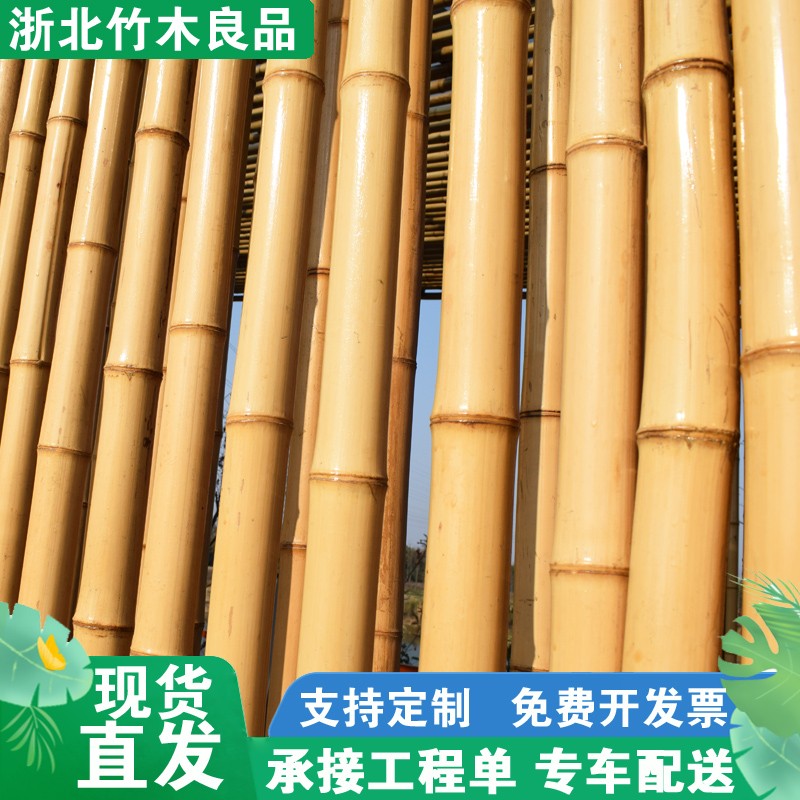 防腐竹竿竹子装饰装修隔断吊顶庭院竹篱笆栅栏围栏墙面黄竹杆竹棍