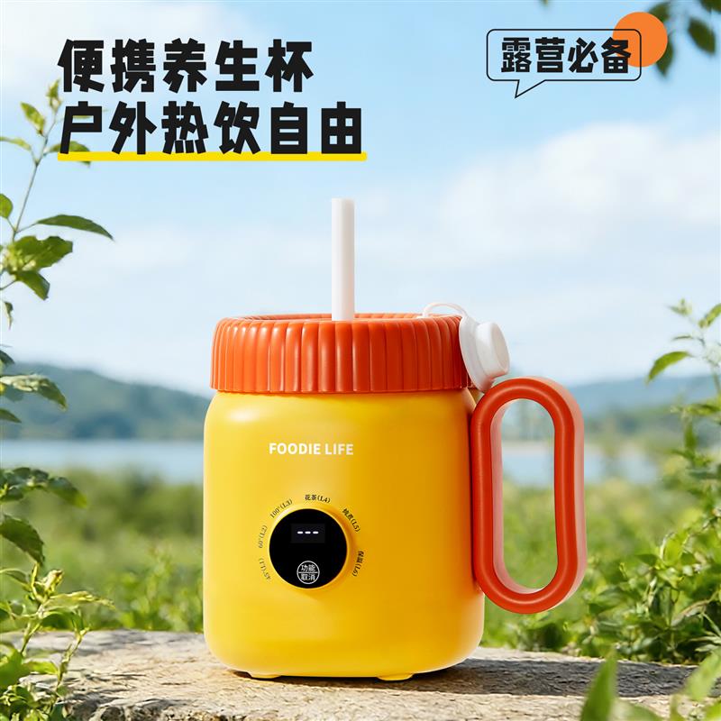 元气养生杯电热杯炖煮一体桌面智能调温多功能家用办公室电热水壶