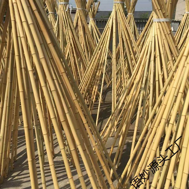 竹子装饰竹竿装修庭院室内外菜园栅栏篱笆隔断搭架竹杆楠竹子