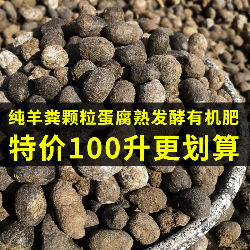 云南纯羊粪发酵有机肥料腐熟羊粪蛋粒大包100升包邮种菜养花专用