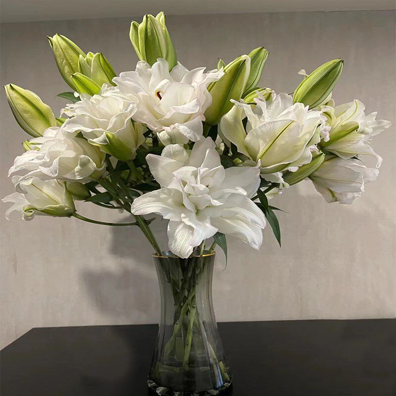 冰美人百合鲜花花束云南直发鲜切花水养插花同城速递重瓣百合花