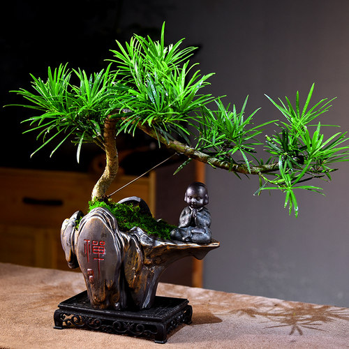 飘枝罗汉松盆栽绿植室内展厅茶室古风造型观赏植物好养常青礼品