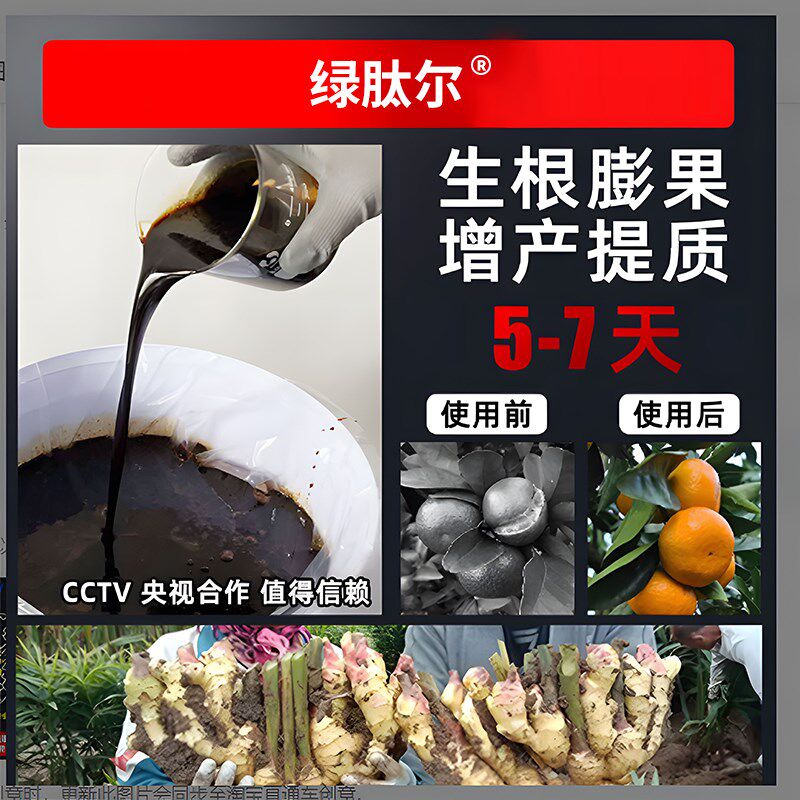 甲壳素海藻高钙高钾桶装水溶肥料生根绿叶膨果含氨基酸水冲施肥料