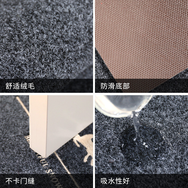 入门脚垫进门门垫浴室防滑淋浴房地垫大门口蹭土地毯地板垫可裁剪