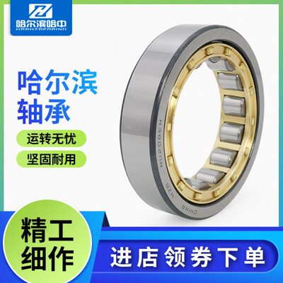 哈尔滨圆柱滚子轴承N NJ NU206 207 208 209 210 211 212 213 EM