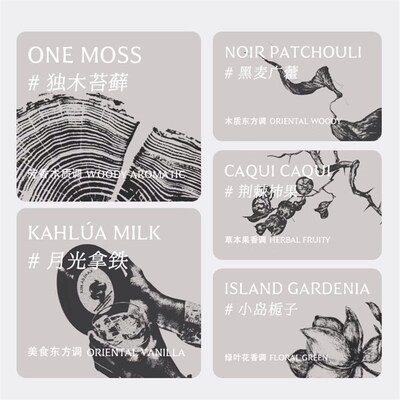 Homeinstinct.回家本能 鹦鹉螺车载扩香器车载香薰礼盒汽车出风口