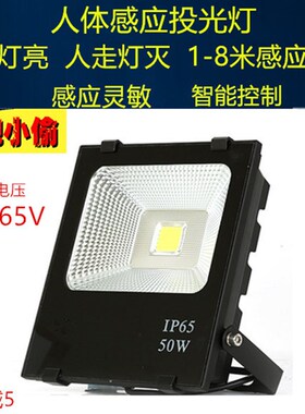 LED红外线人体感应投光灯泛光投灯过道灯10W20WW30W50W防水户外