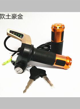 新日 康景 致跑王代驾折叠电动车电量里程时速显示带钥匙调速转把