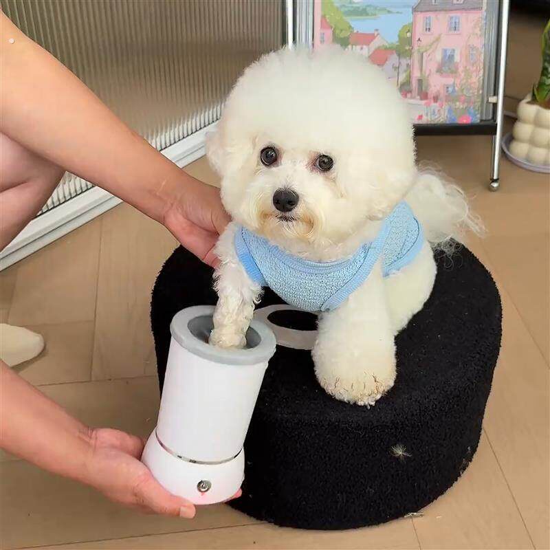 宠物洗脚杯可携式小型犬矽胶软毛刷洁足器猫咪狗狗通用洗脚神器