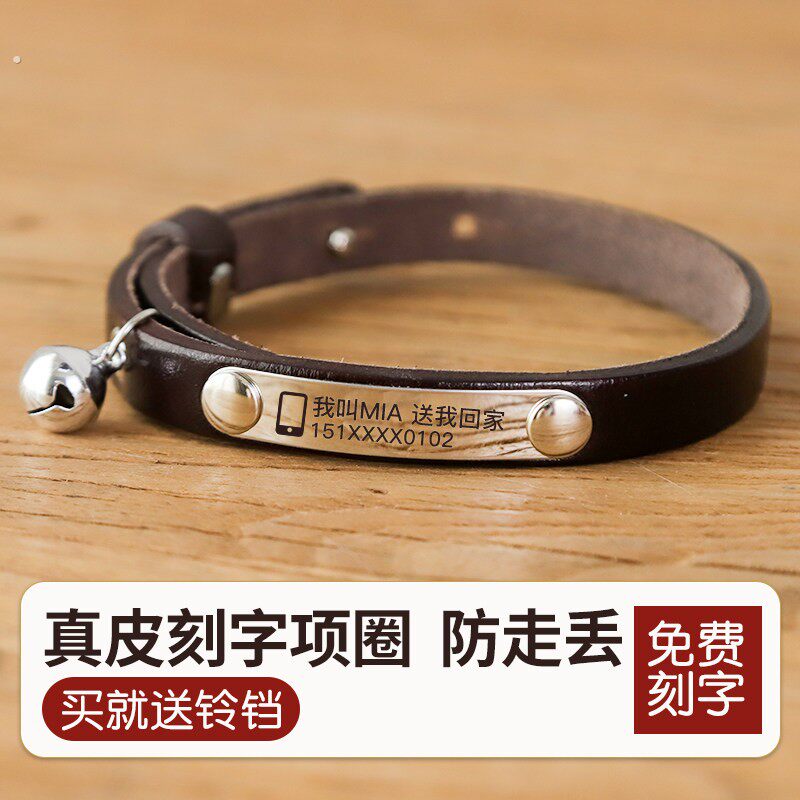猫咪刻字项圈防丢失铃铛项炼猫猫颈圈狗狗小型犬宠物名字脖圈猫牌