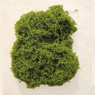 可手撕软丝仿真苔藓青苔草皮草坪装饰森系造景微景观材料假绿植被