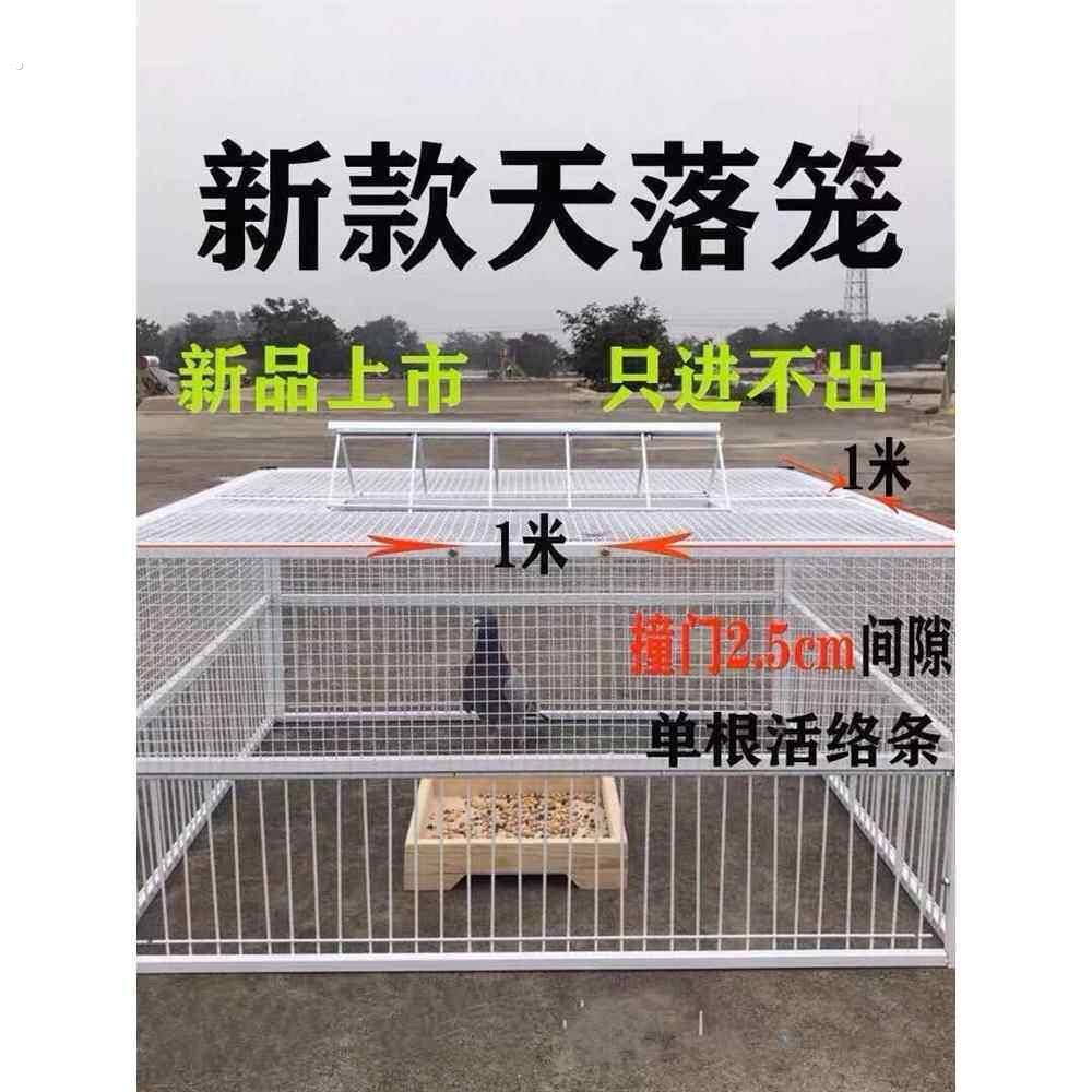 鸽子诱捕器天落笼祇进不出鸽子笼加密收鸽笼活络门户外自动收鸽器