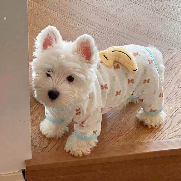 小狗狗衣服夏季薄款猫咪雪纳瑞小型犬四脚衣防掉毛防脏宠物凉凉衣