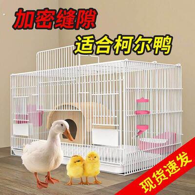 养芦丁鸡笼子饲养专用笼家用室内大号雏鸡雏鸭小鸭小鸡宠物笼加密