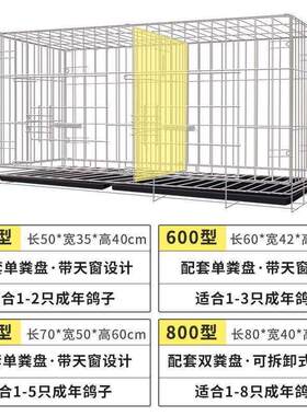 新型鸽子笼白鸽笼养鸽子专用笼家用大号特大元宝鸽笼子折叠养殖笼