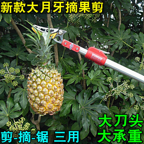 树枝果树水果剪刀修枝剪伸缩高空剪枝高枝剪摘果器采果摘果剪荔枝