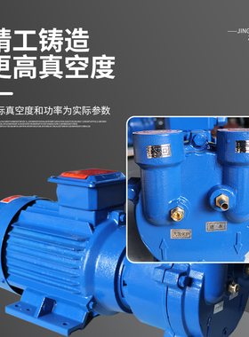 2BV水环式真空泵耐用高真空2060机械密封工业用不锈钢