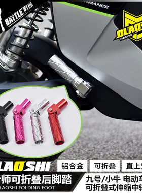 适用九号Mz Nz机械师Mmax110P F90m小牛U2改装欧老师中置折叠脚踏