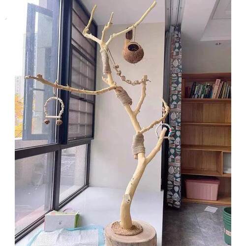 鹦鹉树枝站架干树枝原木杈树枝落地灯小鸟站架落地式木架子房间装