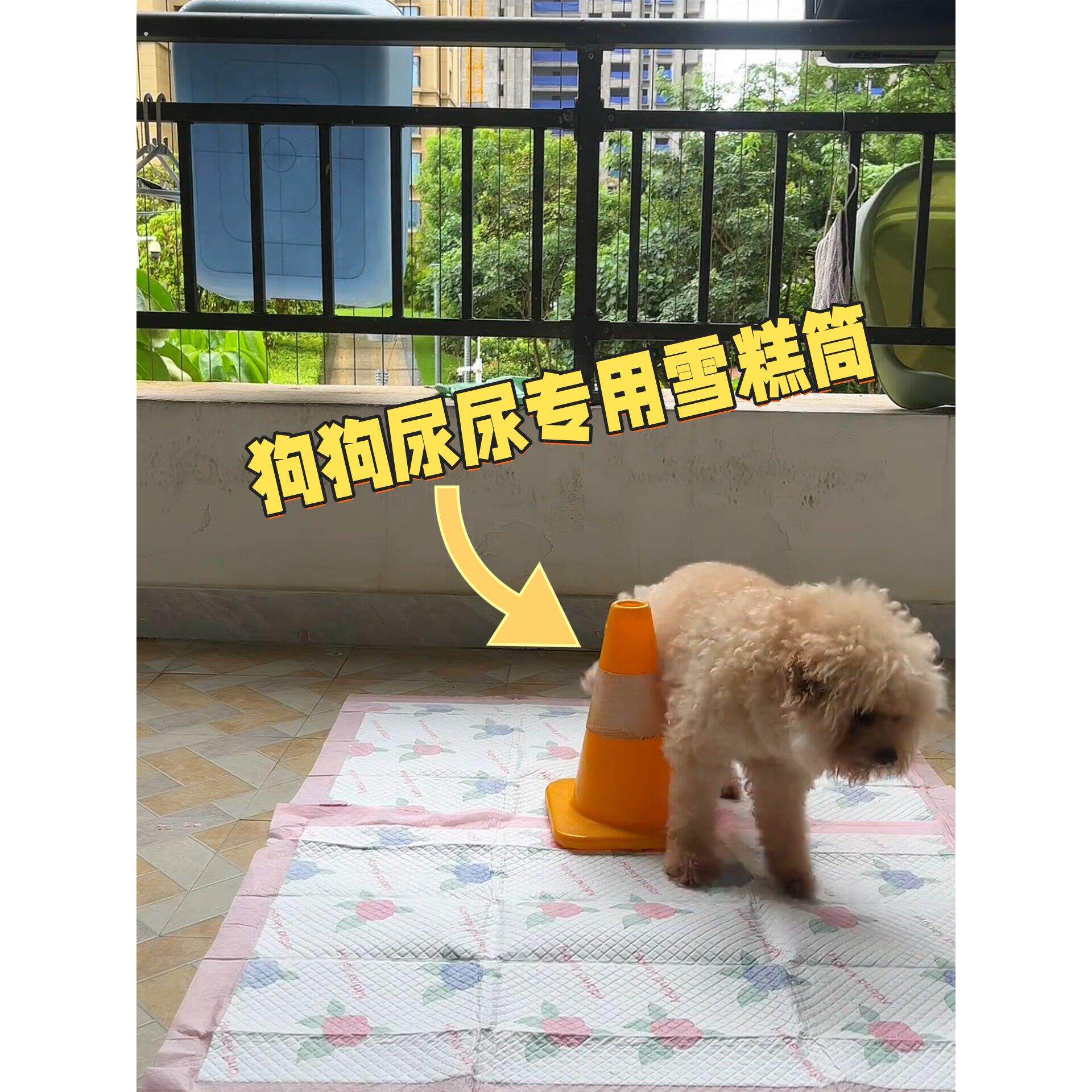 公狗尿柱，防狗尿器，冰激凌桶，小狗尿筒，定点厕所导管停车桩